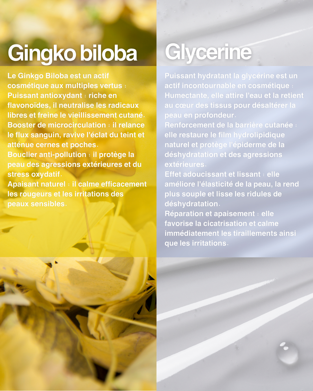 Gel Booster Antioxydant - Sérum au Ginkgo Biloba