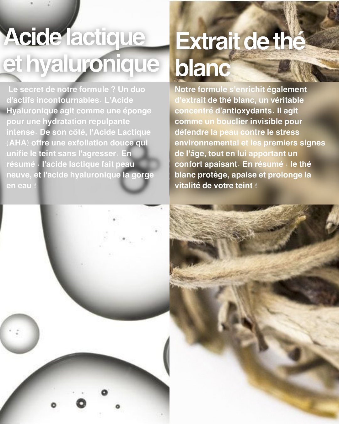 Peeling AHA - Exfoliant Chimique Renouvellement Cellulaire